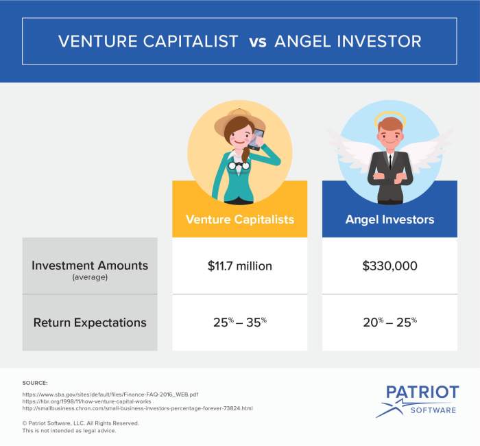 Angel investor venture capitalists investors vs investments vc